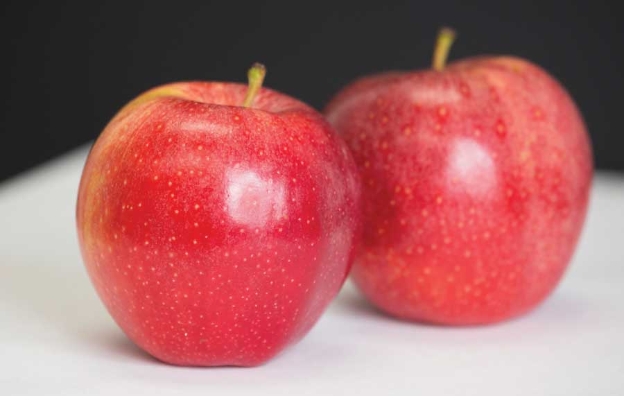 Foxtrot Gala apples hanging in clusters